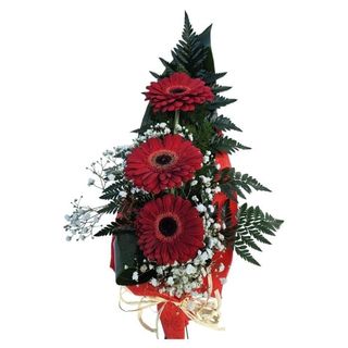 Ramo 3 Gerberas Carinho