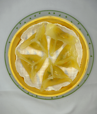 Empanadilla De Fécula De Patata