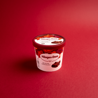 Haagen-Dazs Chocolate 95ml