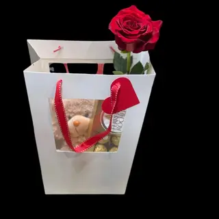 Teddy Gift 2 