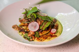 Кабачкові деруни з грибами (210г)