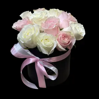 Pink & White 6