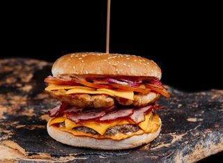 Burger панський panskiy (570г)