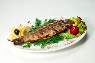 Радужная форель