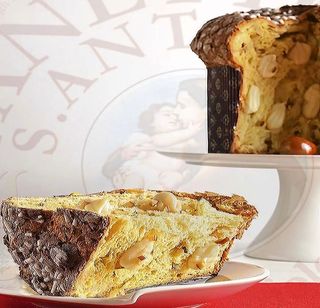 Giuggiola Panettone St'antonio 