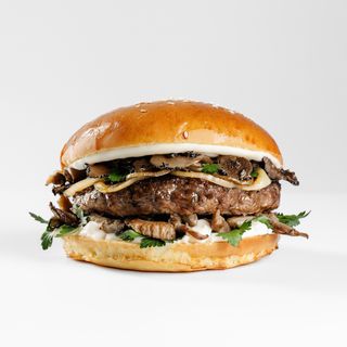 Mushrooms & Truffles -  Not For Junkies