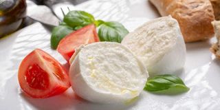 Mozzarella fior di latte 250 gr