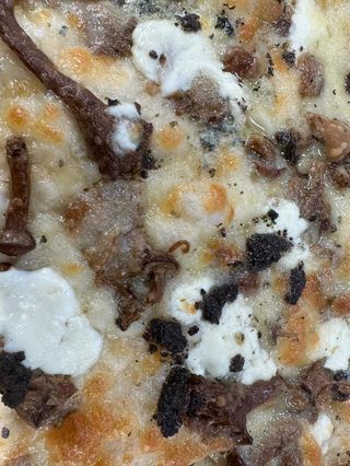 Funghi misti e tartufo