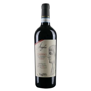Angelus – Falerno del Massico Rosso Riserva DOP – Fattoria Pagano – Annata 2019 – 14,5% vol.