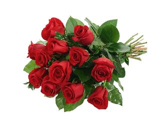 13 Рози, червени | 1 pieces
