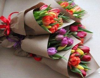 ტიტები N2 (10ცალი)