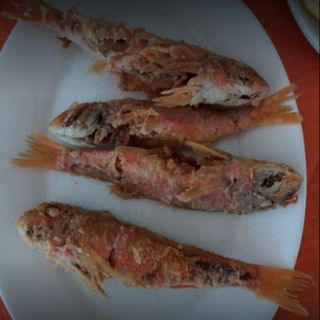 Salmonetes Fritos (Ración)