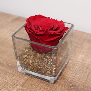 Rose Éternelle Rouge Vase En Verre