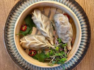 Дім сами з качкою (165g)