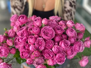 Пионы мистик(042)