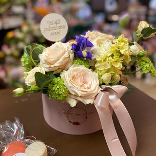 Cutie Dolce - flori pastel