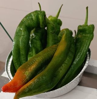 Pimientos fritos (ración)