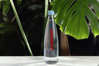 წყალი ბაკურიანი