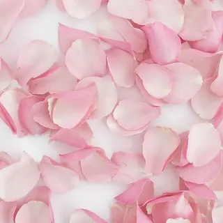 petal multi-couleurs 