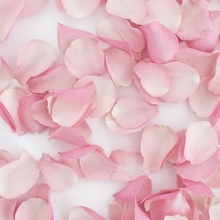 petal multi-couleurs 