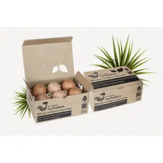 Huevos Ecológicos 1/2 Docena