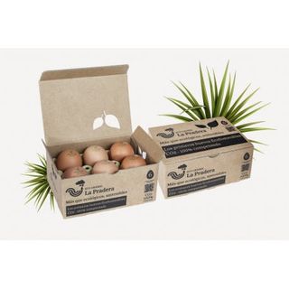 Huevos Ecológicos 1/2 Docena
