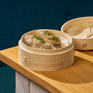 Gyozas de Pato
