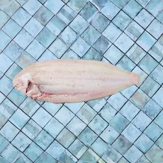 Sogliola pulita senza pelle