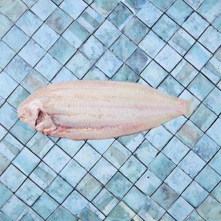 Sogliola pulita senza pelle