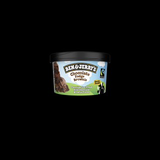 Ben & Jerry's Chocolate Fudge Brownie Mini