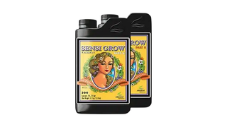 PH Perfect Sensi Grow Part A&B 1 ლ
