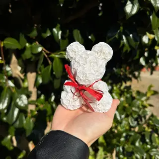 Ursinho de Rosas