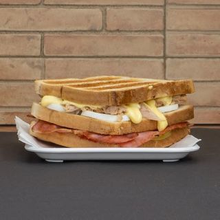 Sándwich Especial