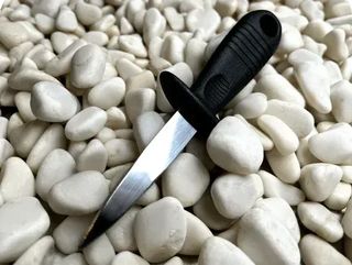 Ніж устричний