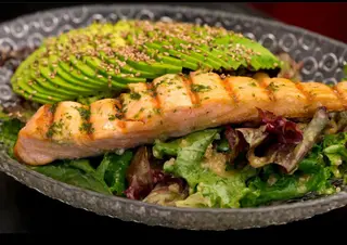 Salmon