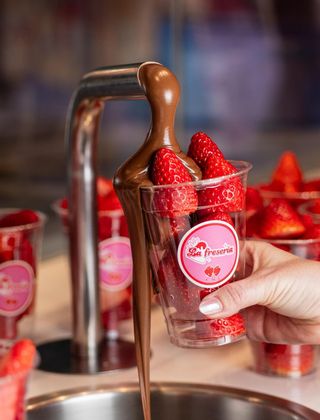 Fresas M Chocolate de la Fuente