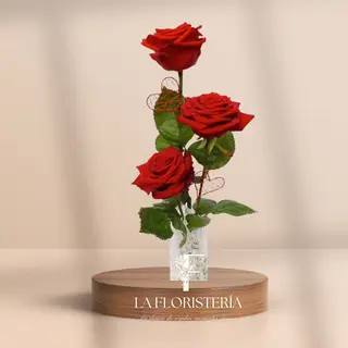 Ramo 3 Rosas Rojas