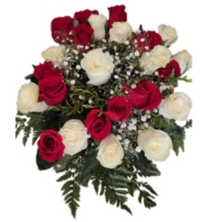 Nadine 24 Rosas Rojas Y Blancas