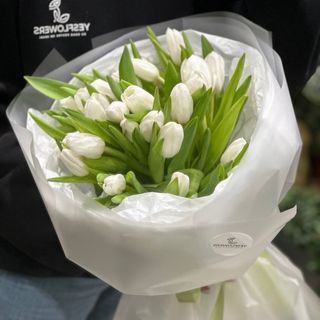 25 lalele albe olandeze cu ambalaj