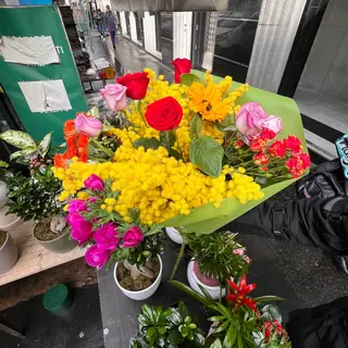Festa della donna  