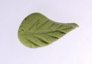 Екстра уасаби 10гр. - 10 грама