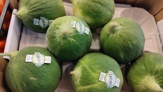 Cetrioli barattieri 1 kg