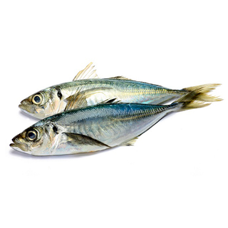 Txitxarro (Aprox. 500 Gr.)
