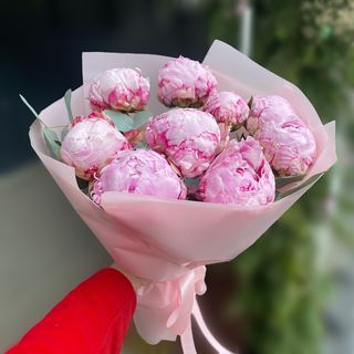 9 півоній з евкаліптом
