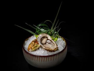 Ostrica fines de clair 1 pezzo