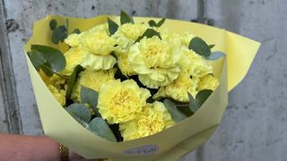 Bukiet cytrynowych goździków + eukaliptus - M - 15 szt