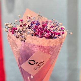 Paquete Paniculata Rainbow