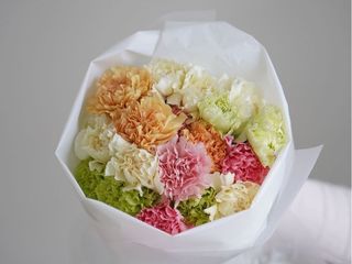 Carnation Mix S Size