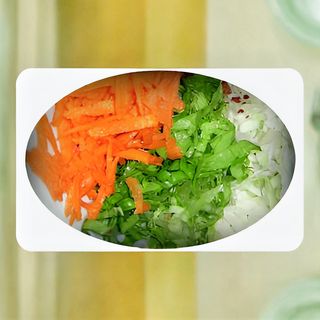 Salata de varza alba, salata verde, morcov