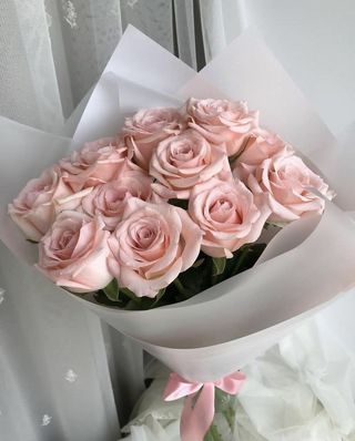 Docena Rosas Rosas